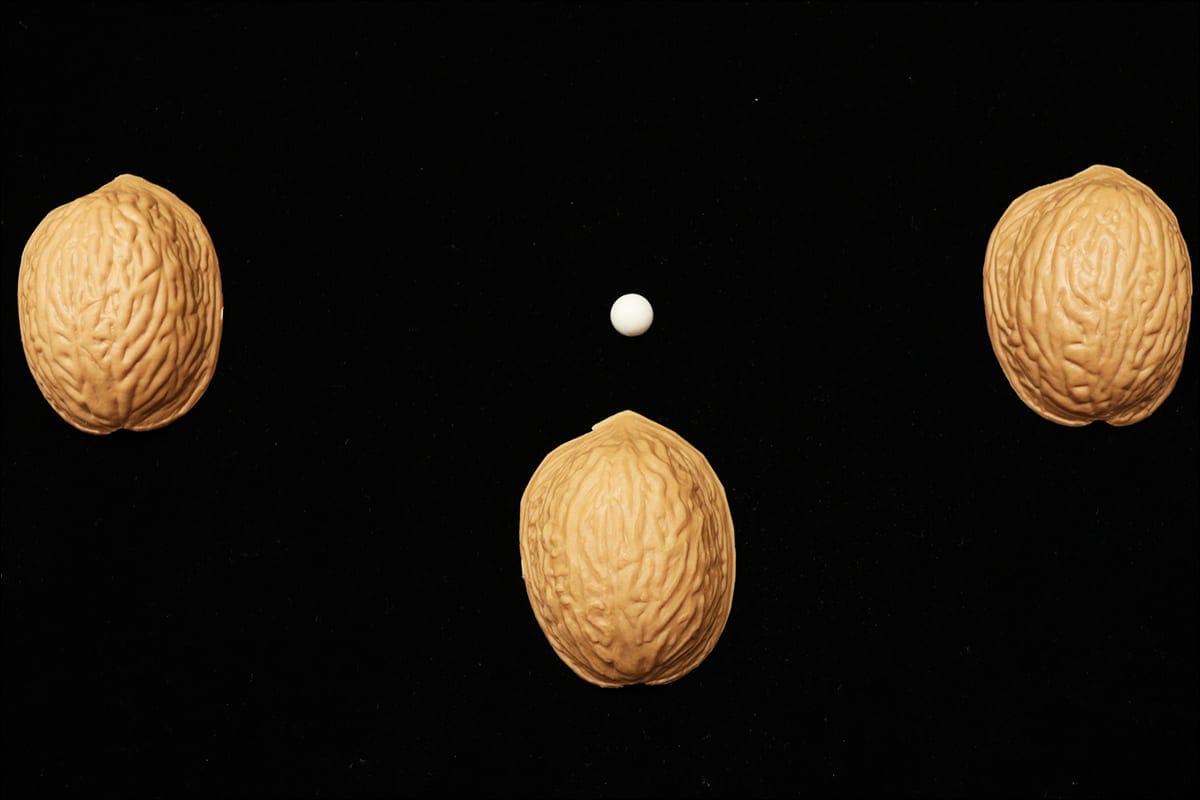 Shell Game Everything You Need To Know